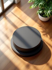 Dark circular pedestals on a sunlit wooden floor