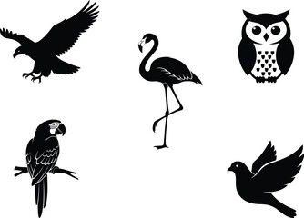 Bird silhouette illustration set, eagle, flamingo, owl, parrot, dove icons, vector wildlife concept for nature and education