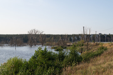 Water inundates the land in a rural area, with trees partially submerged. In the background, suburban buildings are visible against a clear blue sky on a sunny day