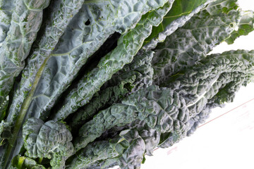 Kale on white, macro