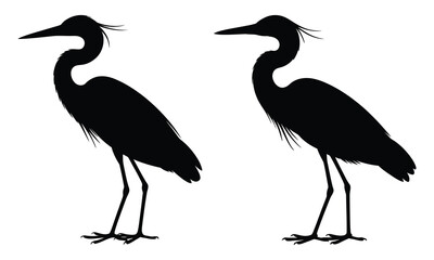 heron silhouette isolated on white