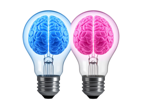 Innovative Light Bulb with Brain Halves Inside, Symbol of Creativity and Ideas, Isolated on Transparent Background