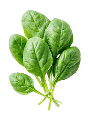 Obraz premium Close-up of fresh spinach leaves. Bright, vibrant green leaves clustered together, displaying detailed leaf veins. Isolated against a black background