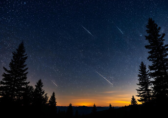 Silhouetted trees under a starry night sky with shooting stars.