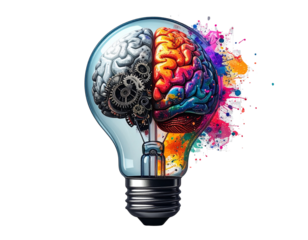 Split Brain Design Inside Light Bulb, Left Analytical and Right Creative, Isolated on Transparent Background