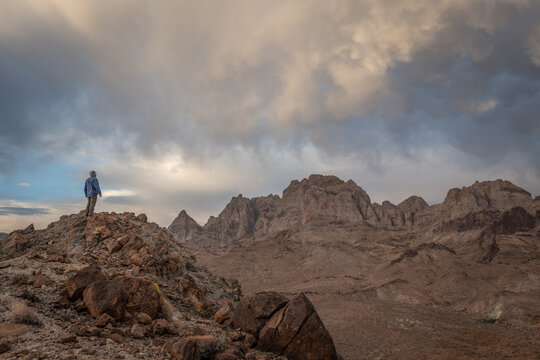 Rear view of a hiker looking at the view, Turtle Mountains Wilderness, California, USA