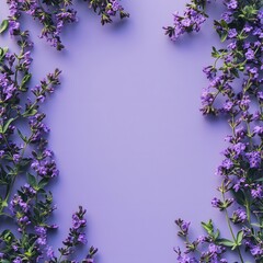 Lavender flowers border a soft purple photo background floral nature