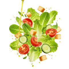 Vibrant Salad with Fresh Vegetables and Croutons: A Culinary Delight for Packaging and Menu Design