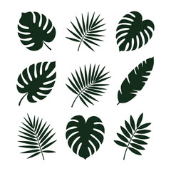 Collection of Silhouetted Tropical Leaves on White Keywords: tropical leaves, monstera, palm