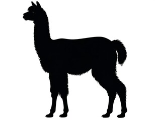 Black silhouette of an alpaca