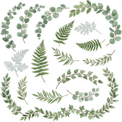 Watercolor Greenery Collection: Eucalyptus, Ferns, and Twigs on Transparent Background for Design Projects. Perfect for Wedding Invitations