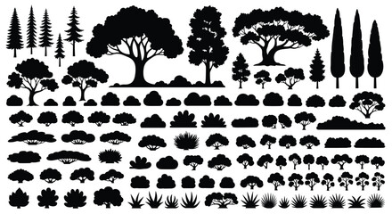 A diverse collection of various deciduous and evergreen trees shrubs and bushes for landscaping design.