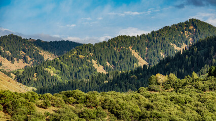 mountain landscape in the summer
