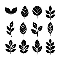 Flat Vector Illustration of a Stylized Botanical Leaf Icon Set in Minimalist Geometric Style for Eco, Organic, and Nature-Themed Infographics and Modern Design Projects