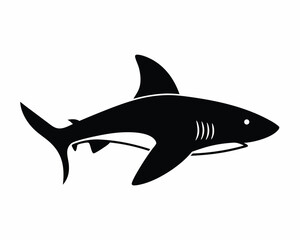 Obraz premium Shark underwater silhouette illustration