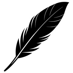 Fototapeta premium Black feather silhouette isolated white