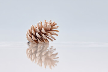 pine cone rests gracefully on pure white background reflecting perfectly in still body of water