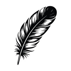 Fototapeta premium feather isolated on white background