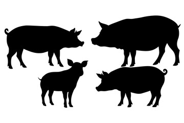 set of Pig farm animal silhouette vector isolated on white background