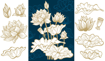 Elegant Lotus Flowers and Botanical Elements