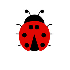 Cute red ladybug cartoon on white background