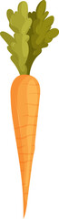 Abstract Orange Root with Green Fronds, Simple Illustration on White Background.