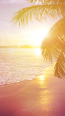 Summer tropical backgrounds with palms