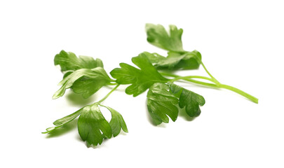Close up fresh green parsley isolated on white background, side view	
