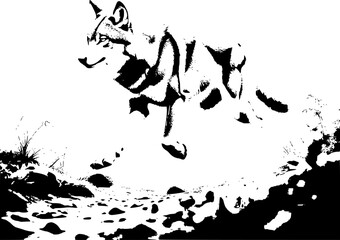 Naklejka premium Black and white frame of a wild wolf symbolizing strength and wilderness