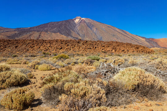 View of Teide volcano in Teide National Park, Tenerife island, Canary islands, Spain