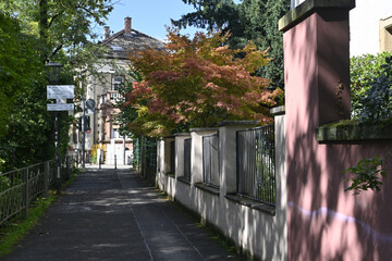 osthofen, holzmühlpfad