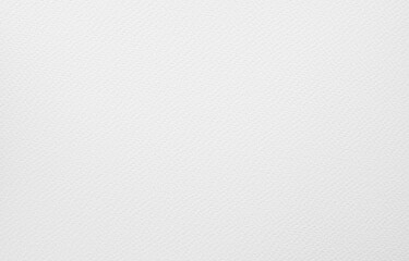 White paper background.  Watercolor paper rough paper texture, empty blank page material for any design
