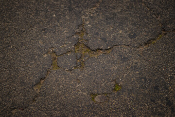 Close-up of old weathered asphalt with deep cracks and patches of green moss, showing natural decay and urban texture.