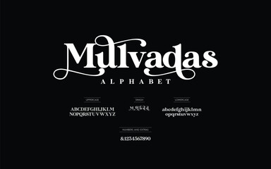 Luxury beauty font alphabet logo. Typography beautiful fashion elegant classic letters serif italic fonts wedding vintage retro casters logos. vector illustration

