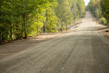 Obraz premium road in the woods