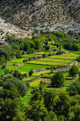 Green terraced fields in Morocco Atlas Mountains with stone houses on dry hillsides and trees creating contrast between farmland and rocky slopes