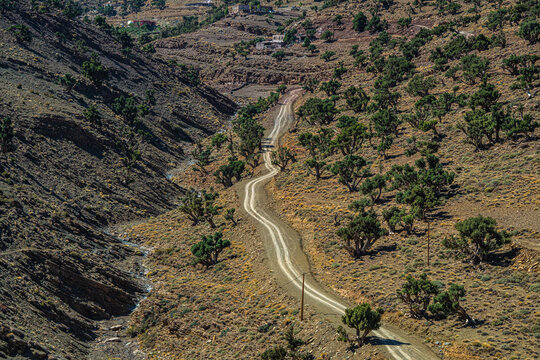 Atlas Mountains Morocco dry valley with winding dirt track scattered green trees and rocky desert slopes under bright sunlight creating remote view