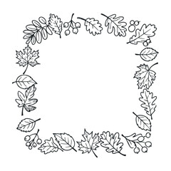 Obraz premium Autumn leaf arrangement nature illustration decorative close-up seasonal beauty. Vector illustration