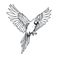 Fototapeta premium Soaring parrot illustration nature scene digital art vibrant environment close-up view wildlife concept. Vector illustration