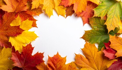 Obraz premium White background with empty copyspace in the center, surrounded by colorful utumnal maple leaves. 