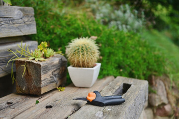 Garden pruner.
