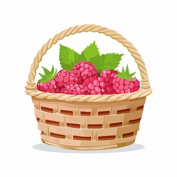 Himbeeren