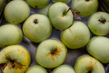 Fresh green apples in bowl. Ripe apples in water. Autumn harvest. Organic fruits background. Heap of green apples. Raw dieting. Natural vitamin. Healthy eating concept. Natural snack.