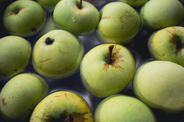 Fresh green apples in bowl. Ripe apples in water. Autumn harvest. Organic fruits background. Heap of green apples. Raw dieting. Natural vitamin. Healthy eating concept. Natural snack.