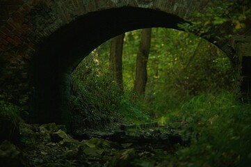 The old bridge over the Drwinka River