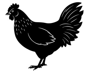Chicken farm animal silhouette illustration isolated on white background