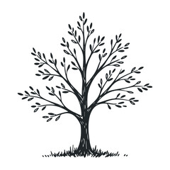 Elegant tree silhouette outdoors illustration natural environment side view nature concept. Vector illustration