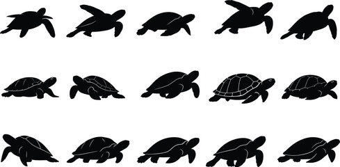 Vector illustration of different turtle and tortoise silhouettes in various poses walking, crawling, and swimming isolated on white background