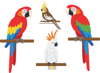 Colorful Tropical Parrots and Cockatoos Perched on Branches - Vector Illustration of Exotic Birds for Wildlife and Nature Designs