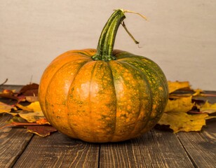 Autumn pumpkin on wooden planks